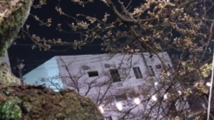 絶対零度