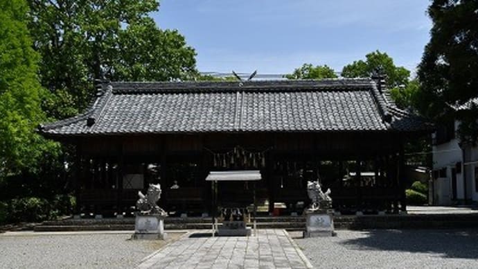 小野市 熊野神社 ヤマフジ