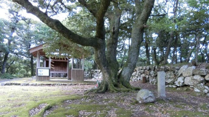後瀬山城訪問記