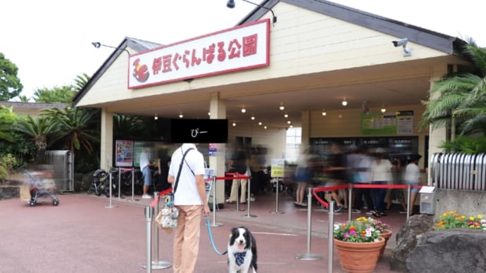ぐらんぱるの優しい係員さん~棚ぼたの旅~
