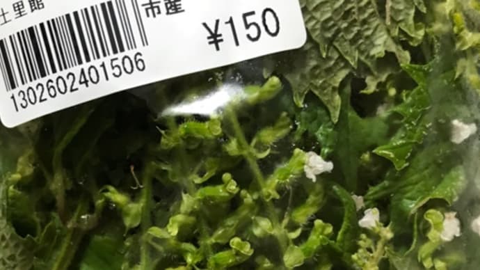 穂紫蘇!