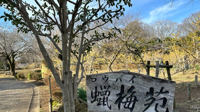 午前中はオヤジとの思い出の地 町田市忠生公園へ