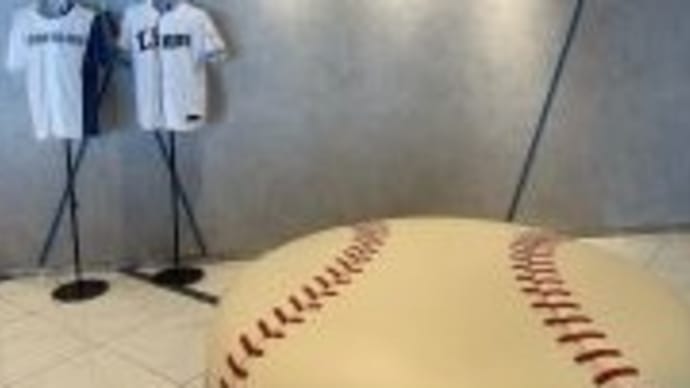 プロ野球の観戦。