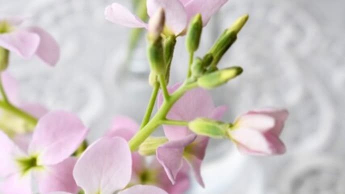 花の力