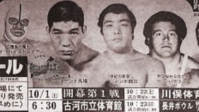 第1戦~第5戦('77ジャイアントS)