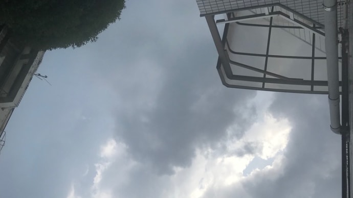 ゲリラ豪雨
