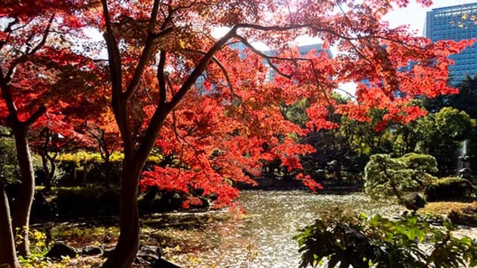日比谷公園の紅葉と黄葉