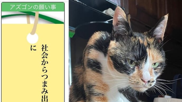 七夕🎋