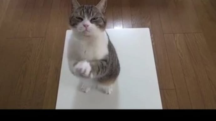 休日出勤
