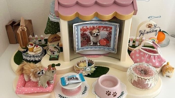 明るい気持ちでお空のハニーちゃんと繋がっているご様子に、ほっこりしました