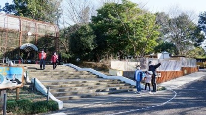 癒しの時間っ♪【智光山公園こども動物園】