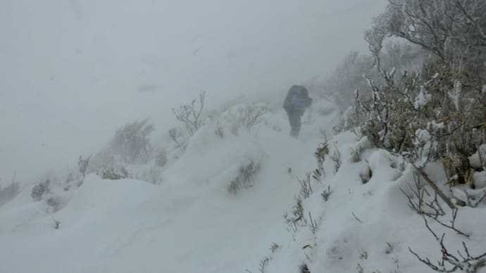 ４日．韓国岳で地吹雪に翻弄される