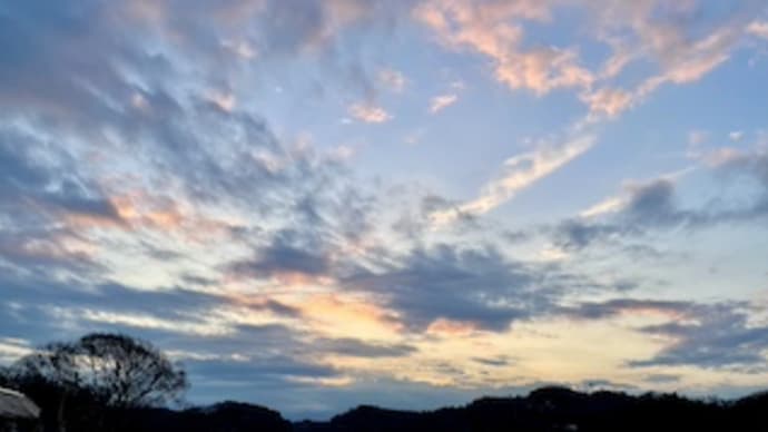 年相応に成長できた1年だった