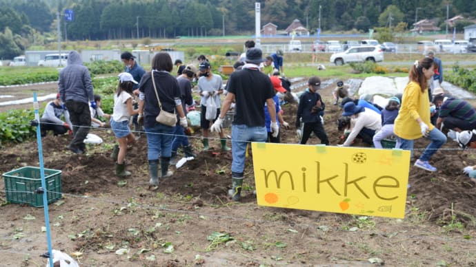 いもフェス2022