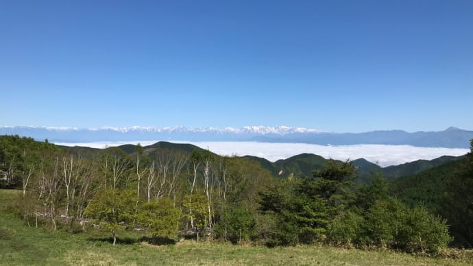 雨上がりの雲海！