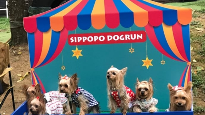 しっぽ舗ドッグラン イベントレポート1