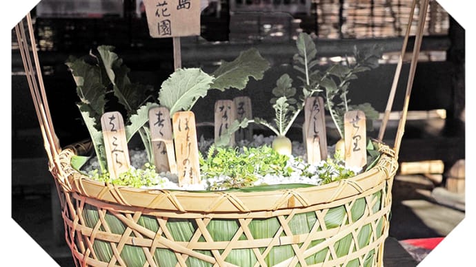七種(七草)