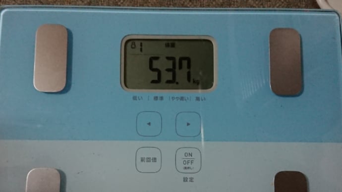 ダイエット278日目