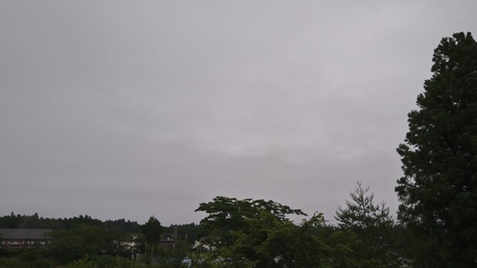 マリーゴールドの空