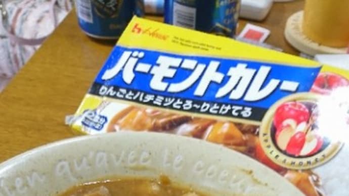 秀樹デビュー記念日はバーモントカレーで