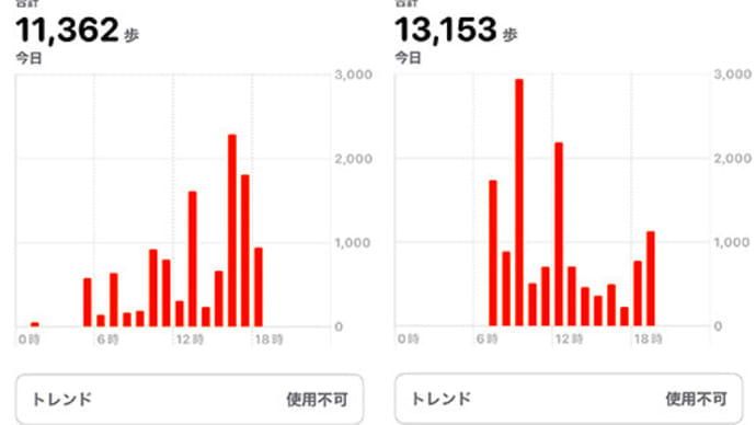 【東京都内はウォーキングの聖地か(笑)】