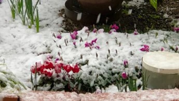 マグネットジェル☆雪