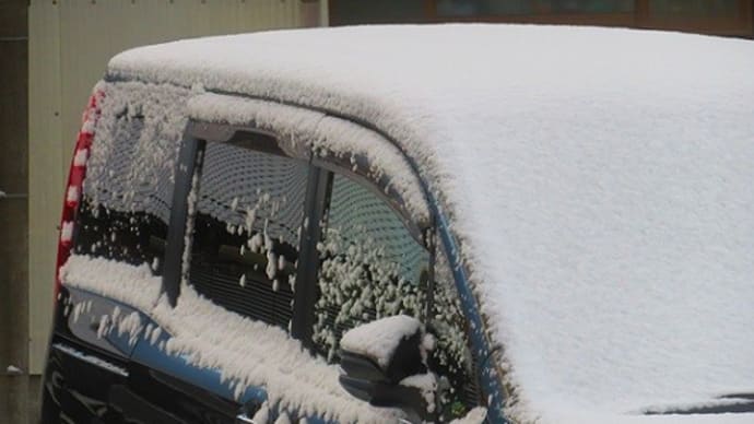 雪の日とみたらしだんご