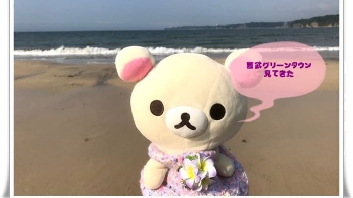 クマルの視察団 Part. 4