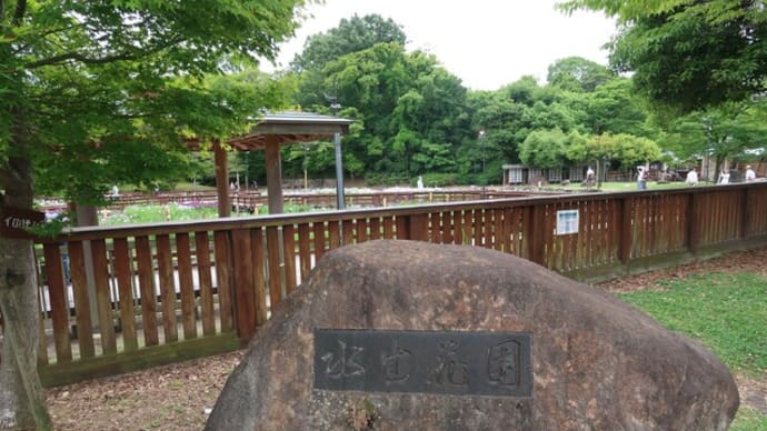 山田池公園(枚方)の花しょうぶ園へ