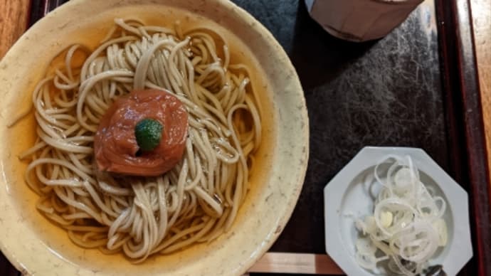 何が真実なのか?