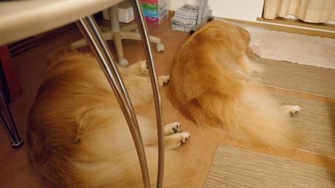 雨の休日は・・・