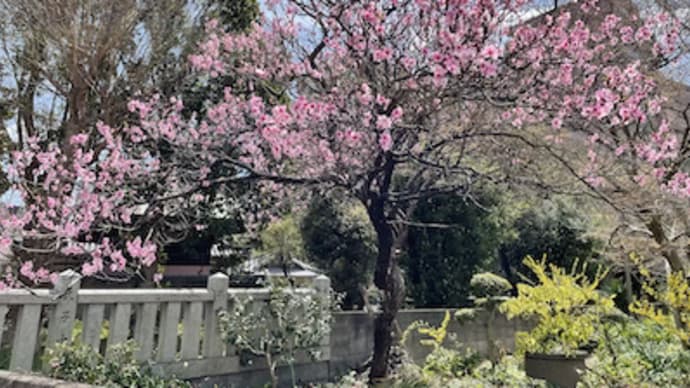2022.04.01 今日は、パーマへ行く。艶髪の写真に喜ぶ。