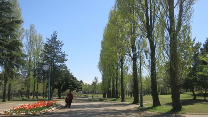 彩の森入間公園散策