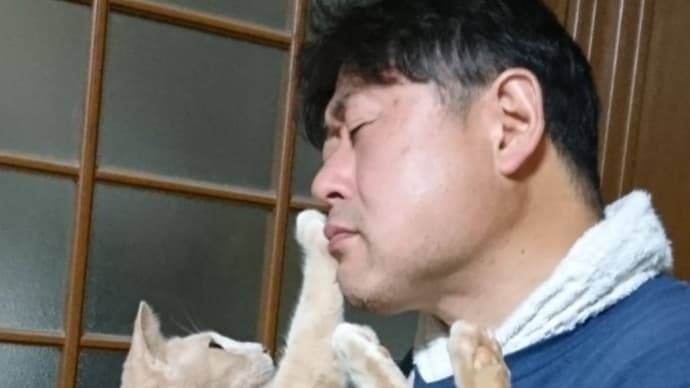 猫の抱っこ