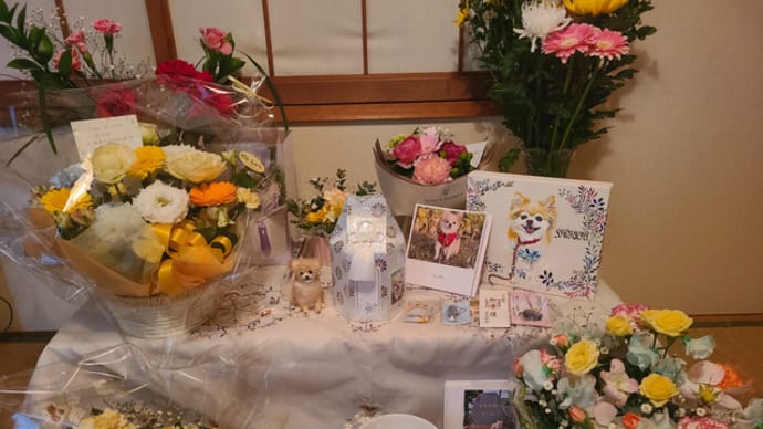 花に囲まれニッコリ!