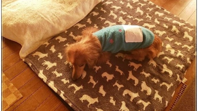 座り込み
