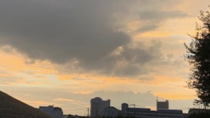 離婚と引っ越しと6