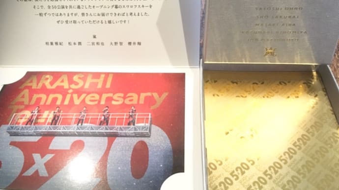 スワロフスキー届きました。(泣)