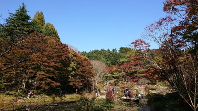 六甲ミーツアート芸術散歩2020年高山植物園編その3ナイトミュージアム夜の芸術散歩編