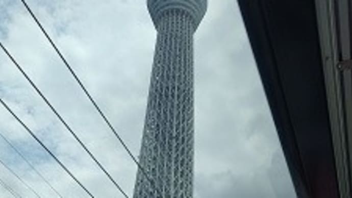 初お泊り、無事終了