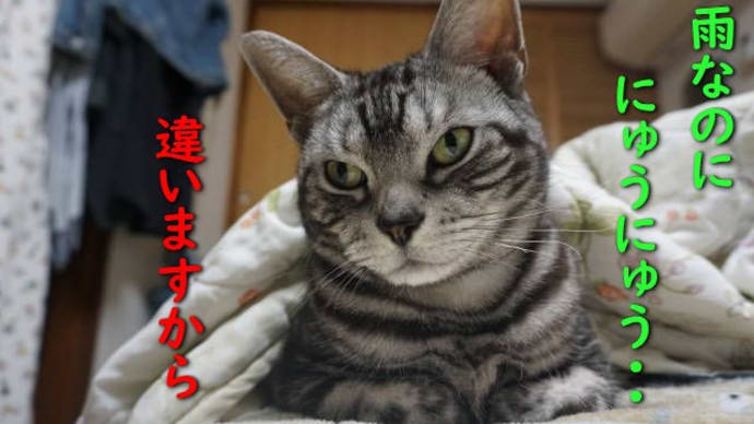 はやと・・やるときは・・