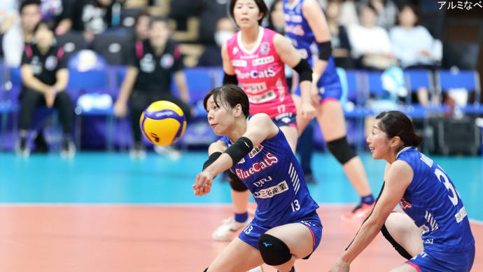 津賀 菜緒選手