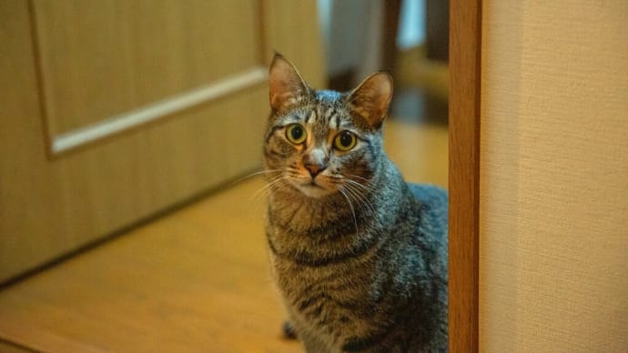 少しブログをお休みします