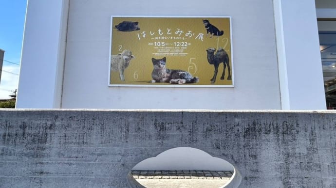 佐野美術館