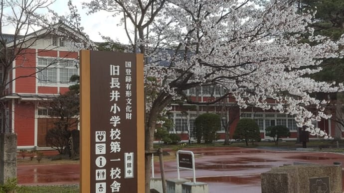 長井まちなか桜回廊　旧長井小学校第一校舎