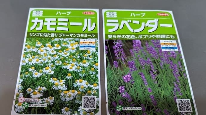 春夏の育成ポットと播種準備