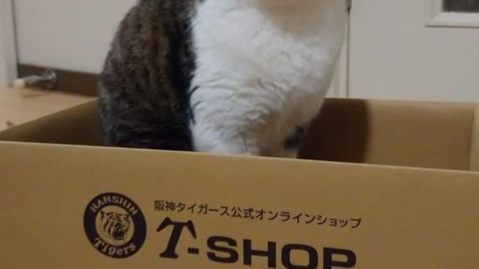 凄い海外ドラマ