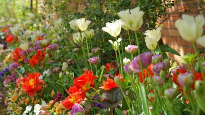 アンジェの花たち　4月