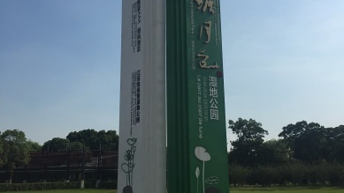 江南最大の蓮公園@荷塘月色湿地公園