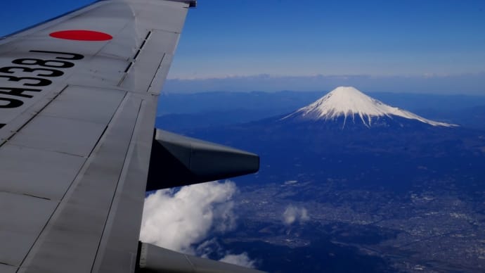 高知出張